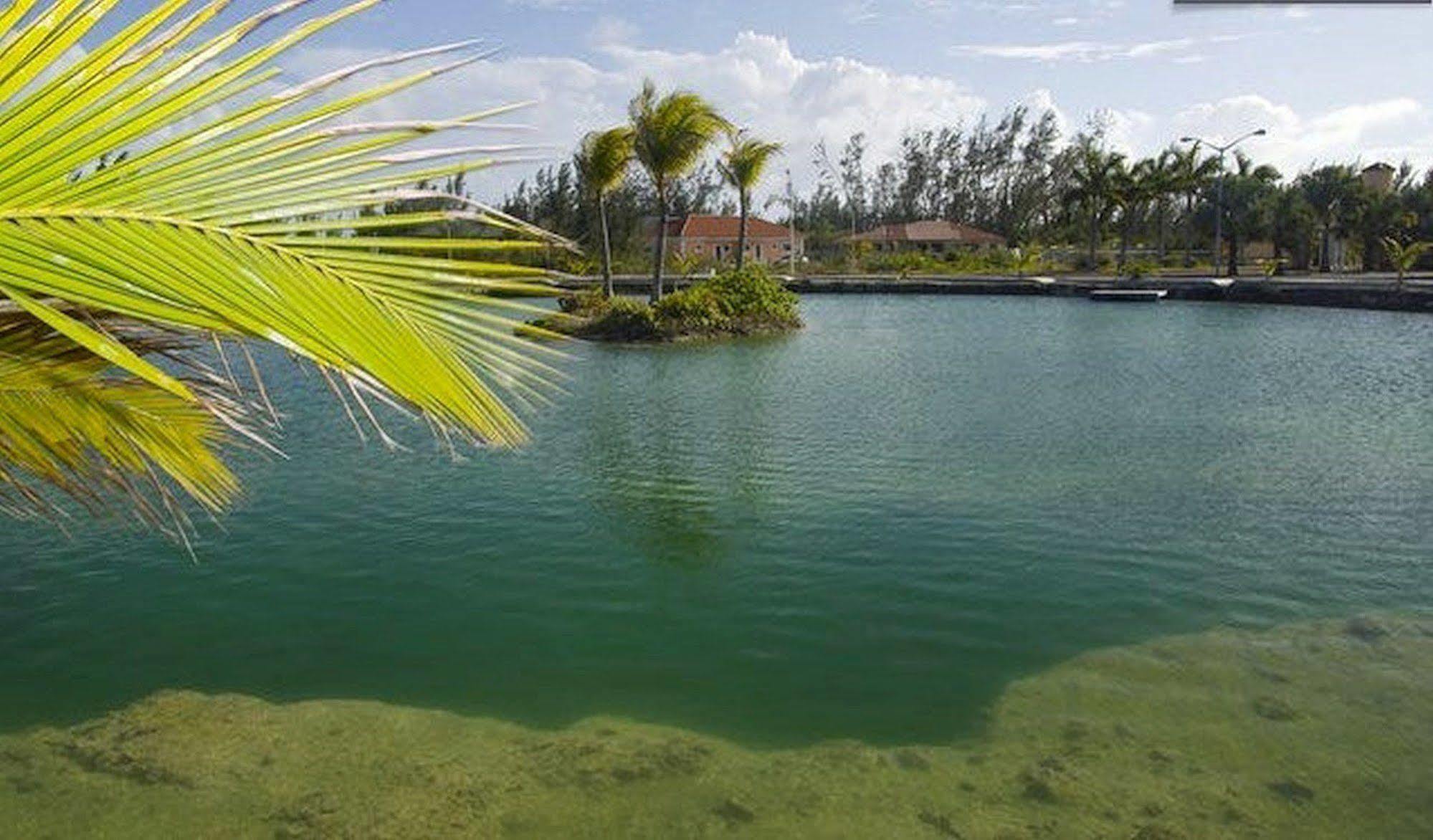 Taste Of Paradise Coral Harbour Exteriör bild